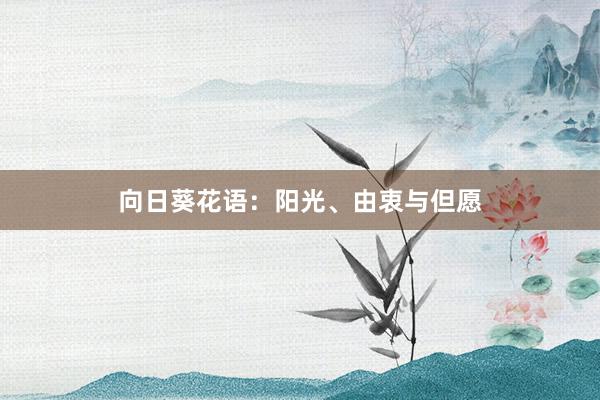 向日葵花语：阳光、由衷与但愿