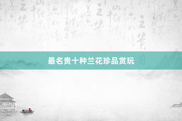 最名贵十种兰花珍品赏玩
