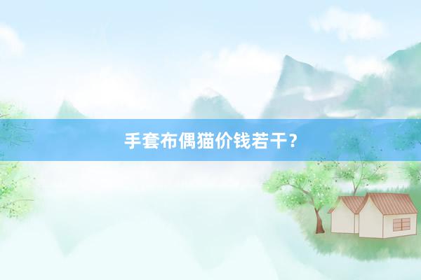 手套布偶猫价钱若干？
